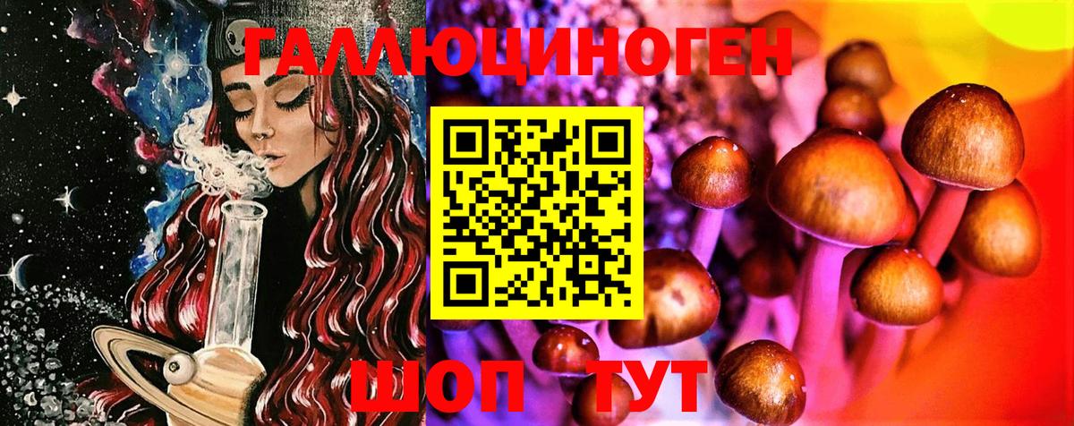 Чистополь  Псилоцибиновые грибы Cubensis  Вход с VPN  Псилоцибиновые грибы GOLDEN TEACHER 